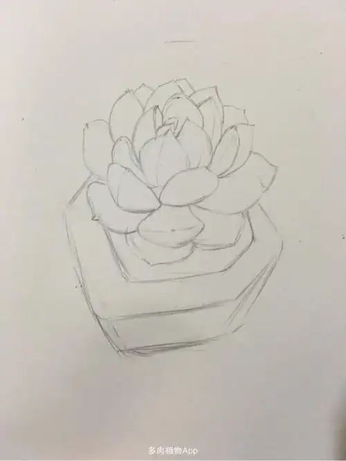 画比养简单多了