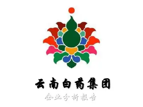 云南白药 企业剖析 共26页.ppt 26页