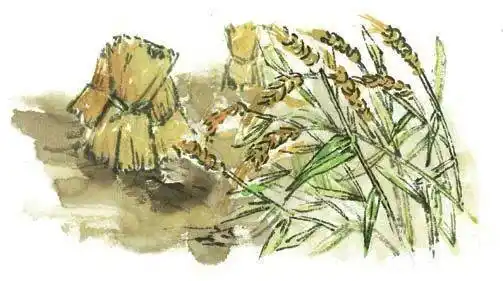 给孩子讲中国故事神农尝百草