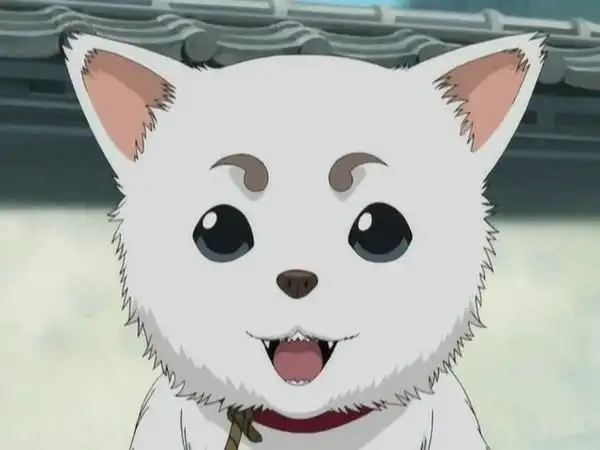 1,定春《银魂》  看起来是一只白色土狗,其实是神乐收养的宇宙巨大