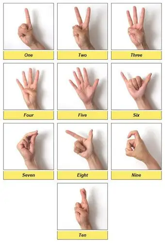 six六(liù)the little finger and thumb are extended, other