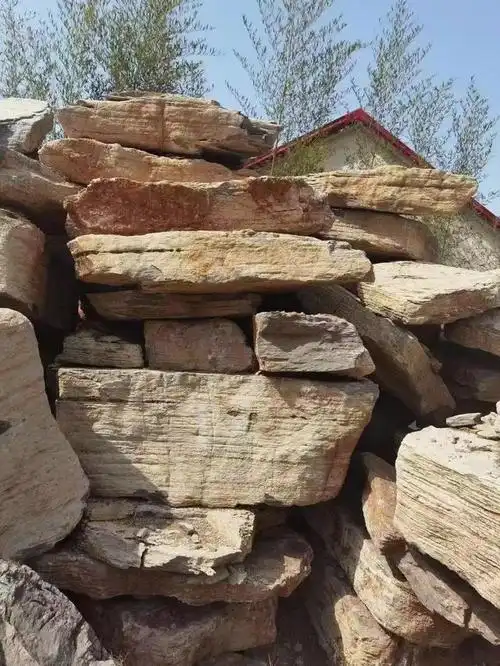 千层石能放客厅吗