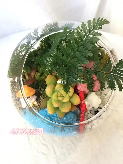 叶店花艺微景观花园教程来咯