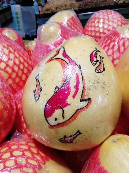 郭金芳艺术范———柚子彩绘篇