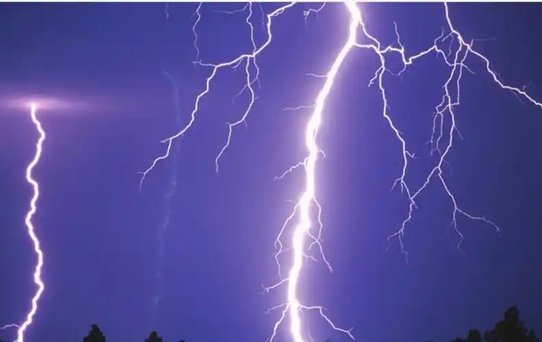 你是 春天的响雷 雷声轰轰 惊醒了受风雨侵袭的嫩苗 使其挺起了即将低