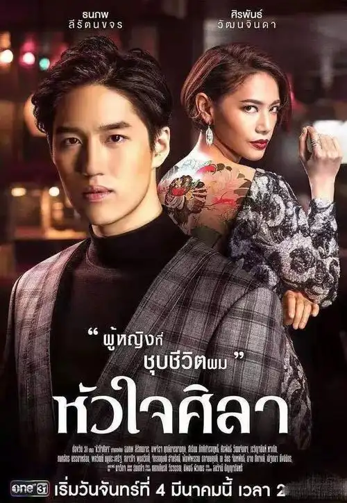 两部虐恋复仇霸道总裁新泰剧tor搭档nor