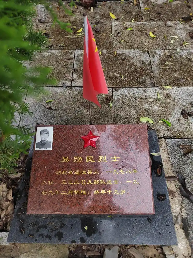 广西宁明革命烈士陵园第五排烈士墓碑名单40名湖北省籍烈士!希 - 抖音