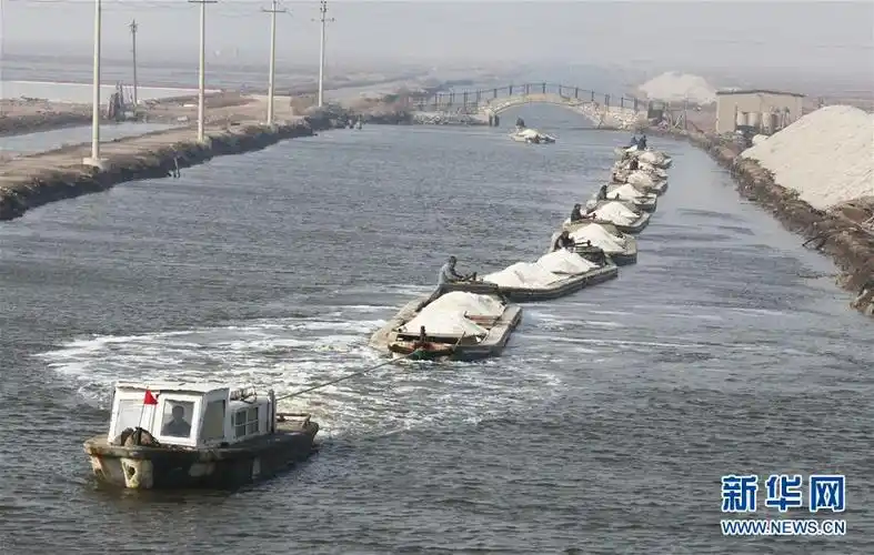 河北唐山:春盐漕运忙