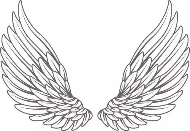 超仙天使翅膀简笔画翅膀好看简笔画的画法步骤图解天使的翅膀怎么画简