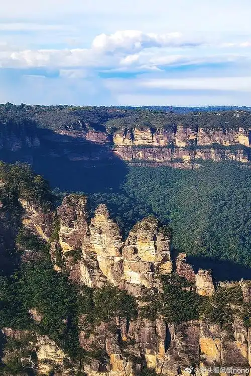 出的蓝色雾气,似乎永远不会消散～这就是澳大利亚悉尼蓝山名字的由来
