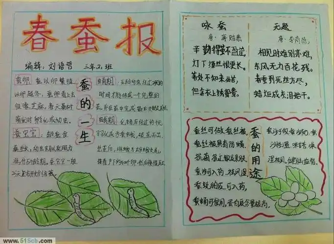 蚕的手抄报图片资料