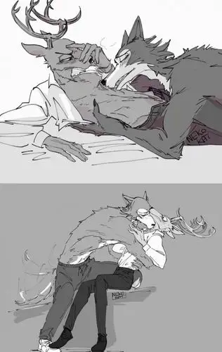 求动物狂想曲狼鹿图腐向