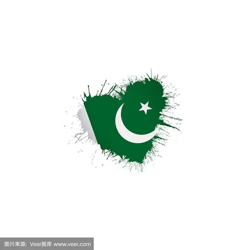 巴基斯坦国旗,矢量插图在白色的背景
