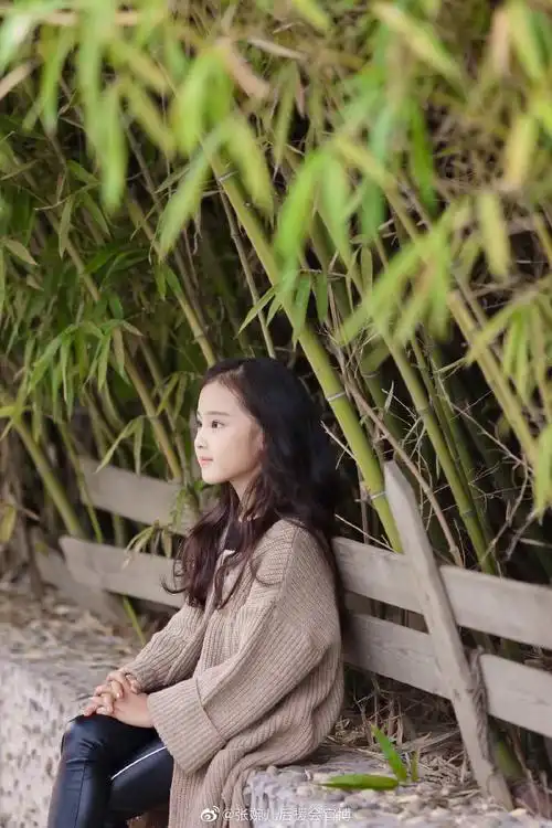 人间理想 张婉儿