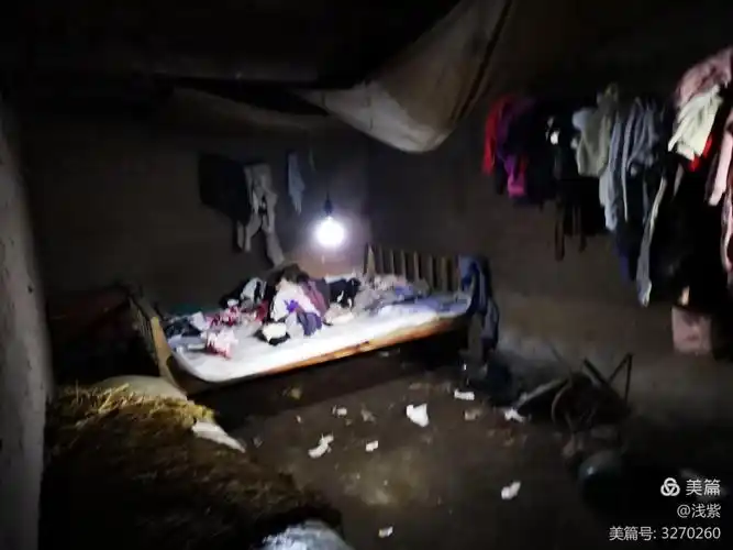 冬天的寒冷,夏天的酷热,每晚弟弟妹妹们都要拥挤在这狭小而破旧的床.