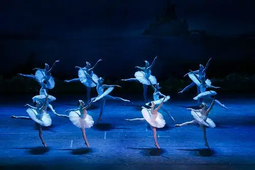 舞台摄影《天鹅舞》