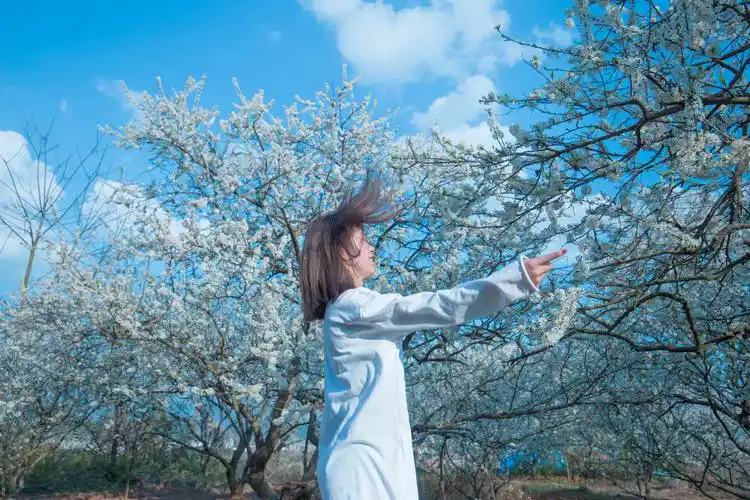 梨花树下的女孩