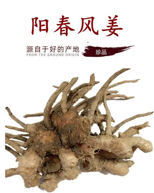 【农友】阳春风姜新鲜月子姜特产自种高良姜产后月婆