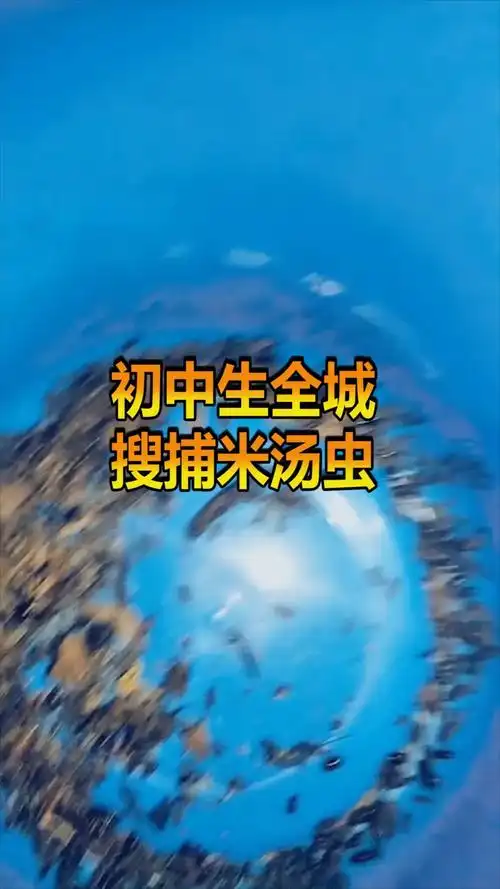 奇趣#米汤虫其实不是虫,破坏力巨大全身都是宝,令九万人全城搜捕!