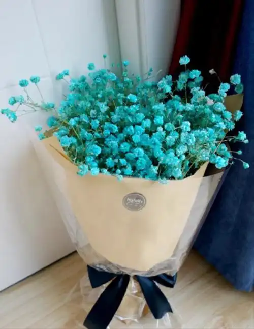 满天星图片(满天星图片头像)