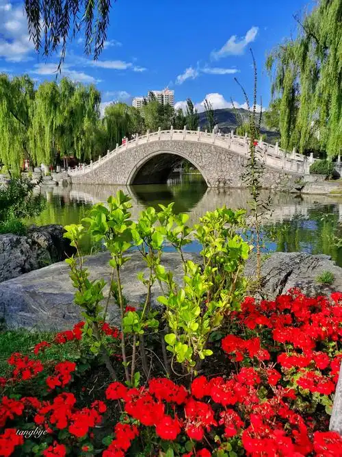 西宁人民公园夏天的美景 - 唐八爷