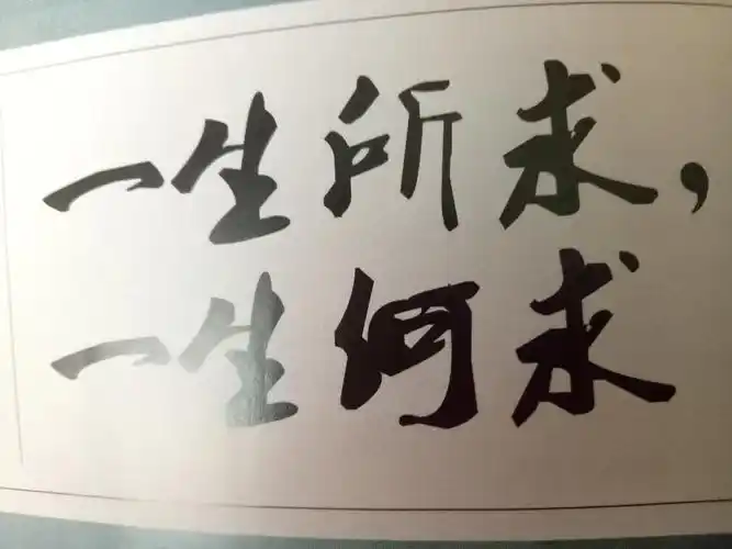 一生所求一生何求