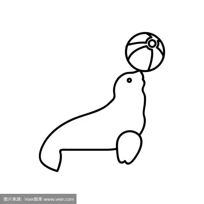 训练毛皮海豹玩球矢量草图图标孤立的背景.