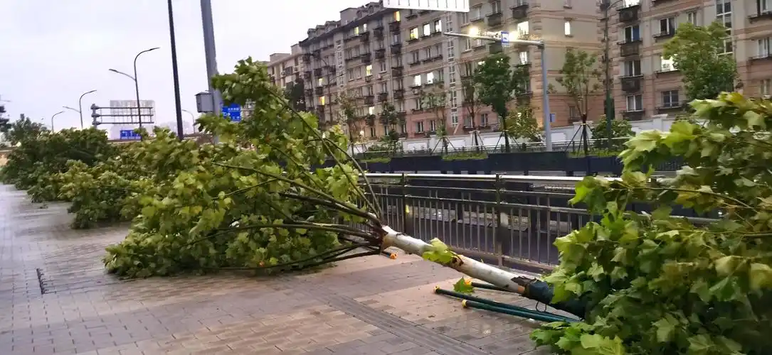 台风"烟花"对宁波的袭击,这几张图片只是极小部分中的一角 - 安好218