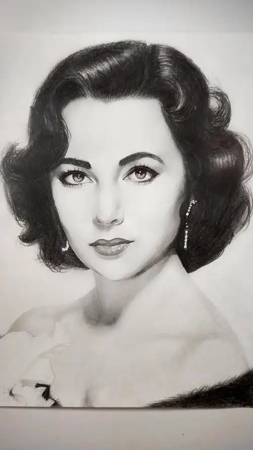 铅笔手绘伊丽莎白泰勒