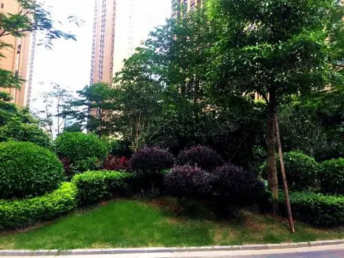 世茂御龙湾湖心岛