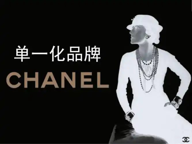 香奈儿品牌营销ppt课件