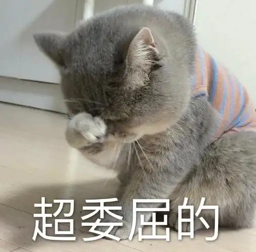 萌宠gif猫星人gif超委屈的gif难受gif呆萌gif可爱gif