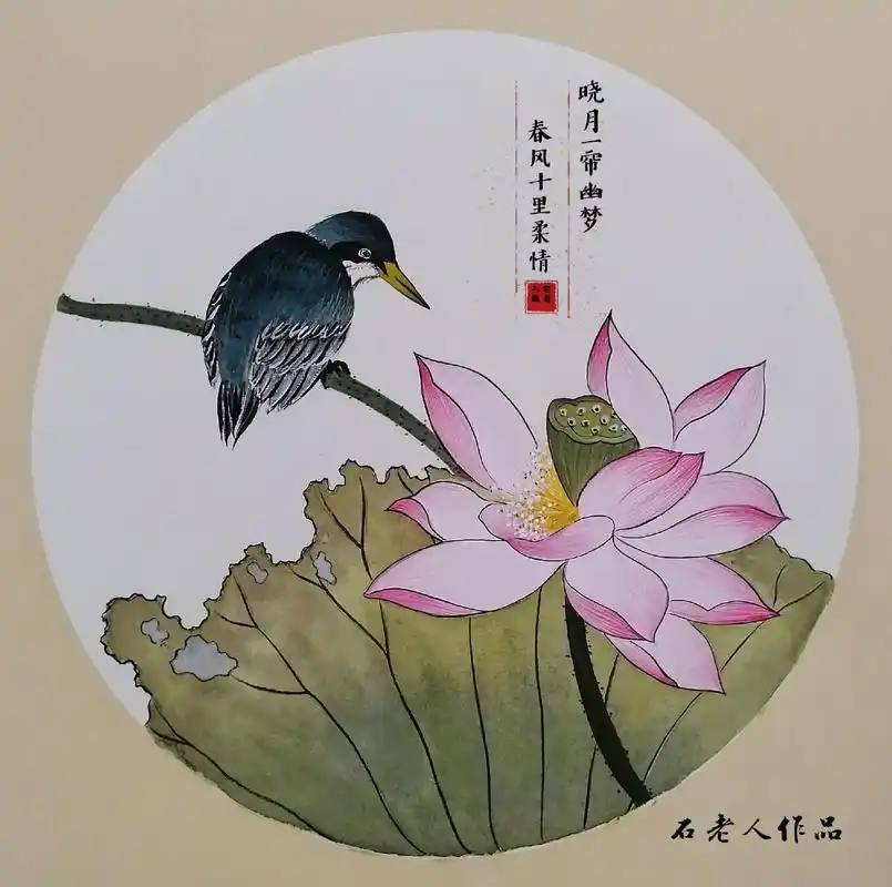 画一组荷花小品国画花鸟
