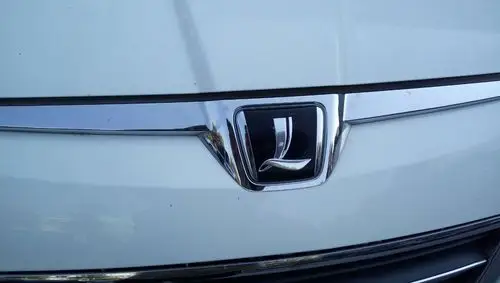 标志是个大写的l,这是辆什么车?