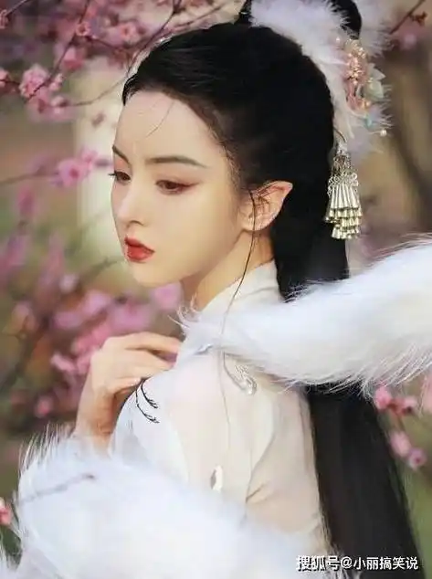 12星座 公主 古装美女图片,侧脸杀头像(真人版)_日记100字