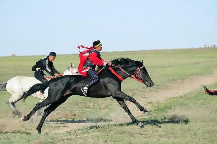 那达慕——赛马冠军