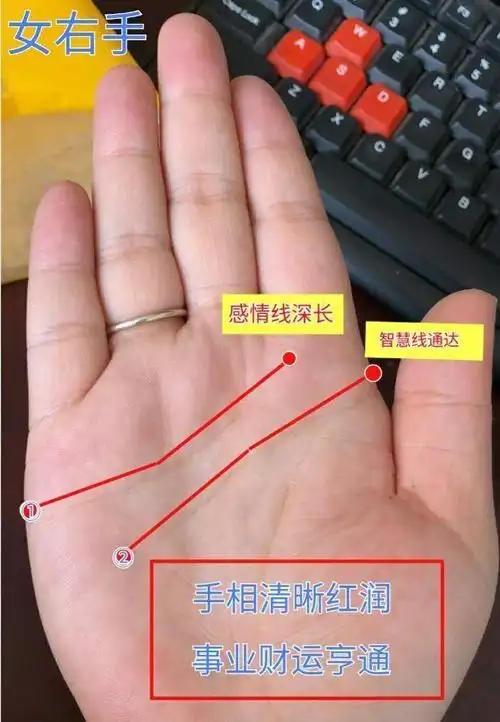 女性手相智慧线清晰明达一般情商很高善于经营家庭与事业