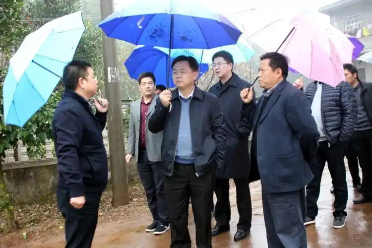 胡江萍调研全面小康美丽乡村示范区建设工作