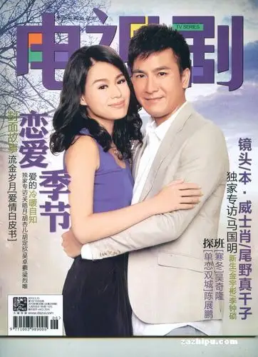 电视剧2013年3月第2期1