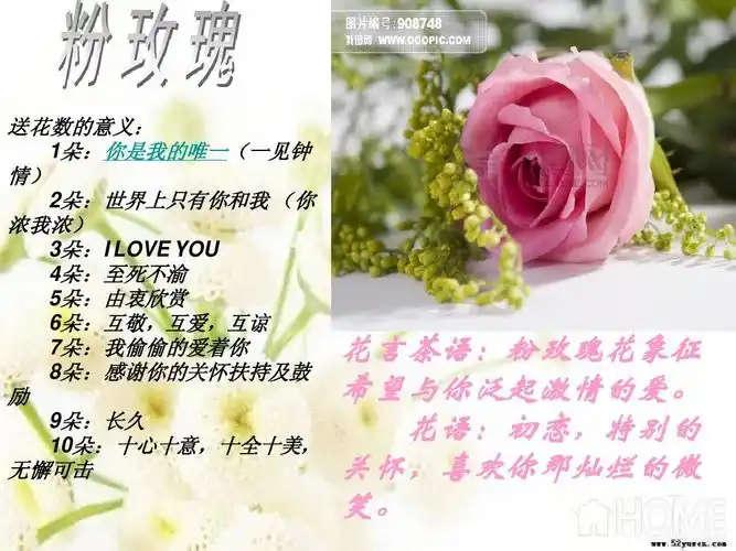 玫瑰花的物语ppt