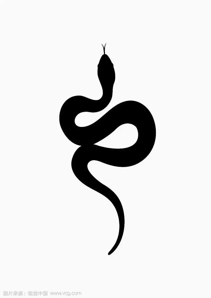 黑色剪影蛇孤立的象征或图标