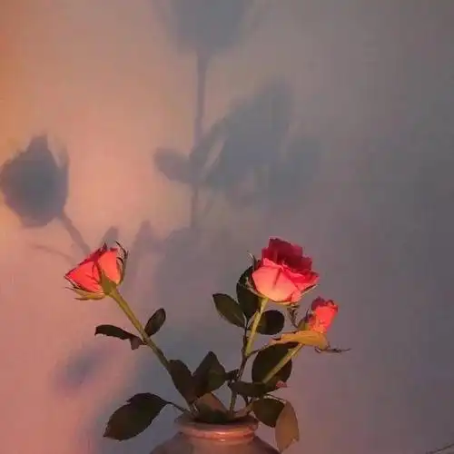 qq名片背景,qq名片背景图怎么设置自定义免费(扣扣名片背景图)