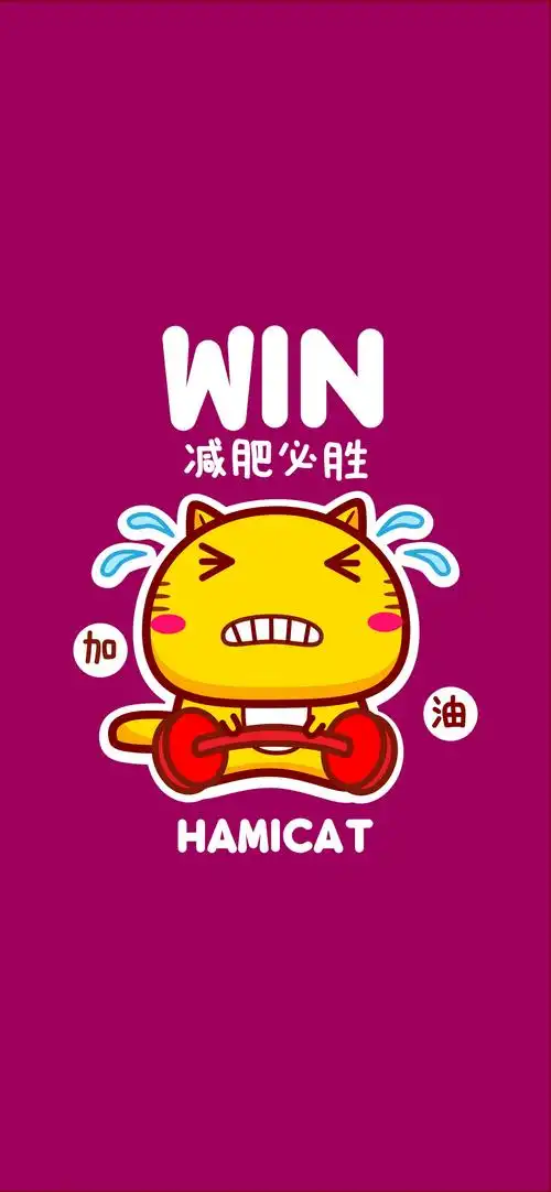 哈咪猫减肥壁纸