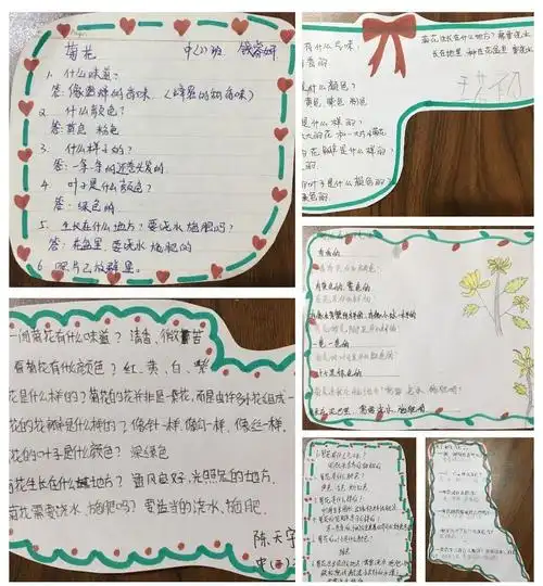 爸爸妈妈还细心的帮孩子们记录了观察结果～ 活动三:制作菊花手工作品