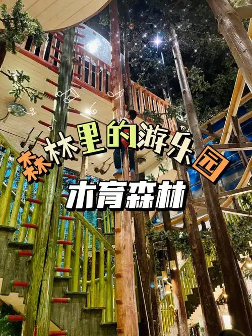 成都遛娃测评森林里的游乐园木育森林