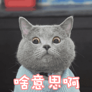 这话啥意思图片_这话啥意思动态图_这话啥意思表情包gif动图下载_soo