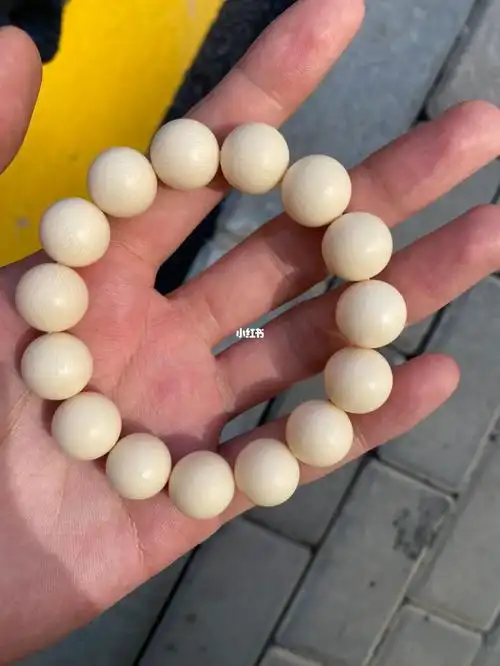 猛犸象牙真假鉴别