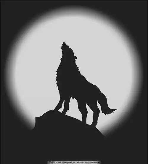 团队拓展口号狼性