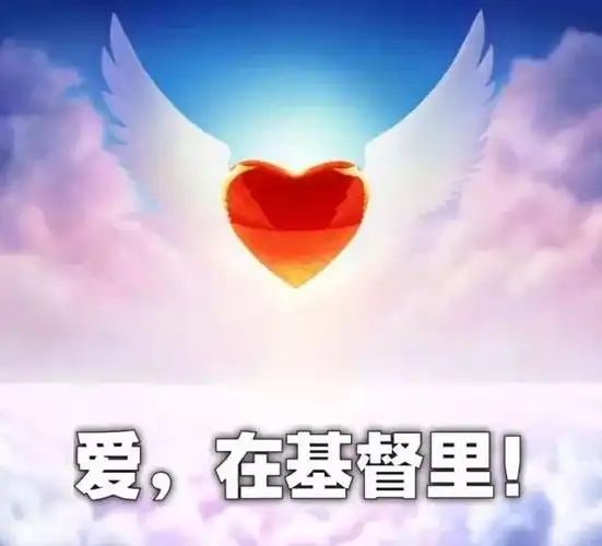 一青年从街边长椅走过,见一男孩手捧圣经欢乐高语:赞美神!赞美神!