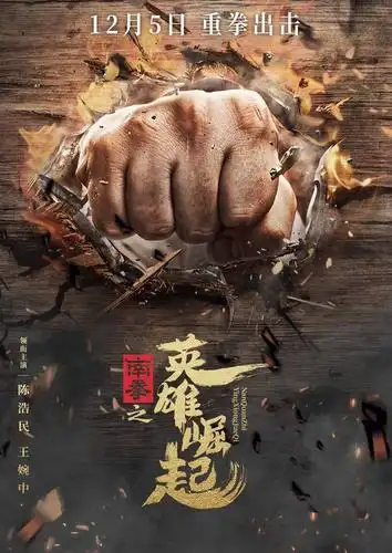 5 陈浩民重拳出击彰显民族风采